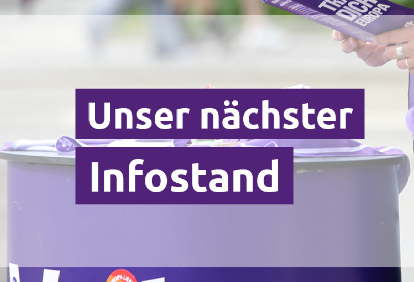 Volt Infostand in München