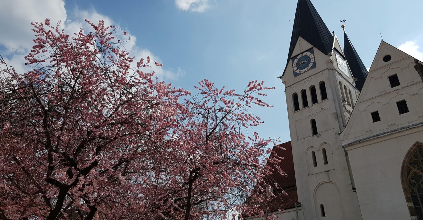 Domplatz in Eichstätt