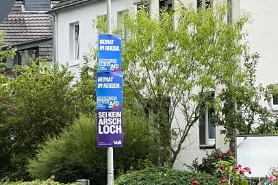 Gegen die AFD in Bonn