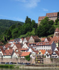 Volt Rottweil