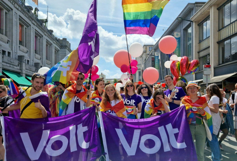 Foto mit vielen Volter*innen auf einer Pride-Demo