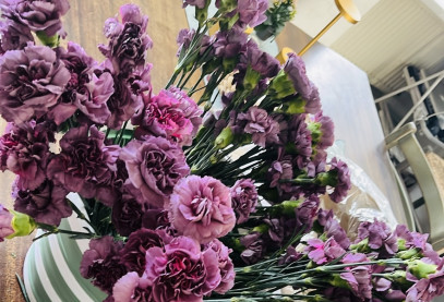 Picture of carnations