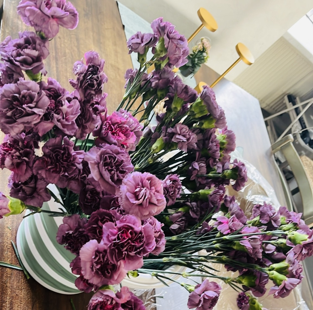 Picture of carnations