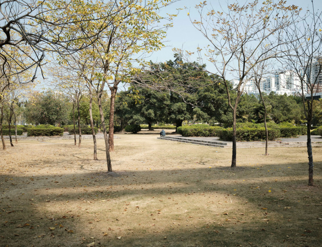 Vertrocknetes Gras im Park von unsplash
