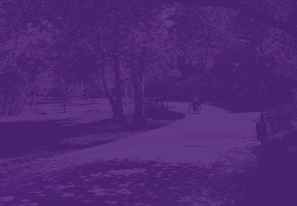 Park in Frankfurt von unsplash