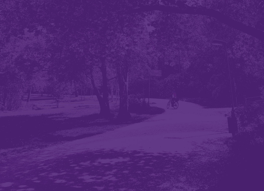 Park in Frankfurt von unsplash