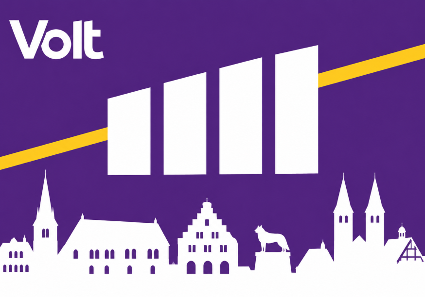Volt Goslar nach der Wahl
