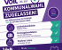 Volt Goslar zur Kommunalwahl 2026 zugelassen