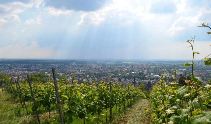 Blick über Bensheim im Landkreis Bergstraße.