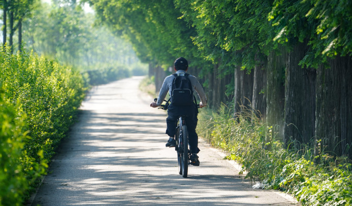 Fahrradfahrer auf einem Fahrradweg