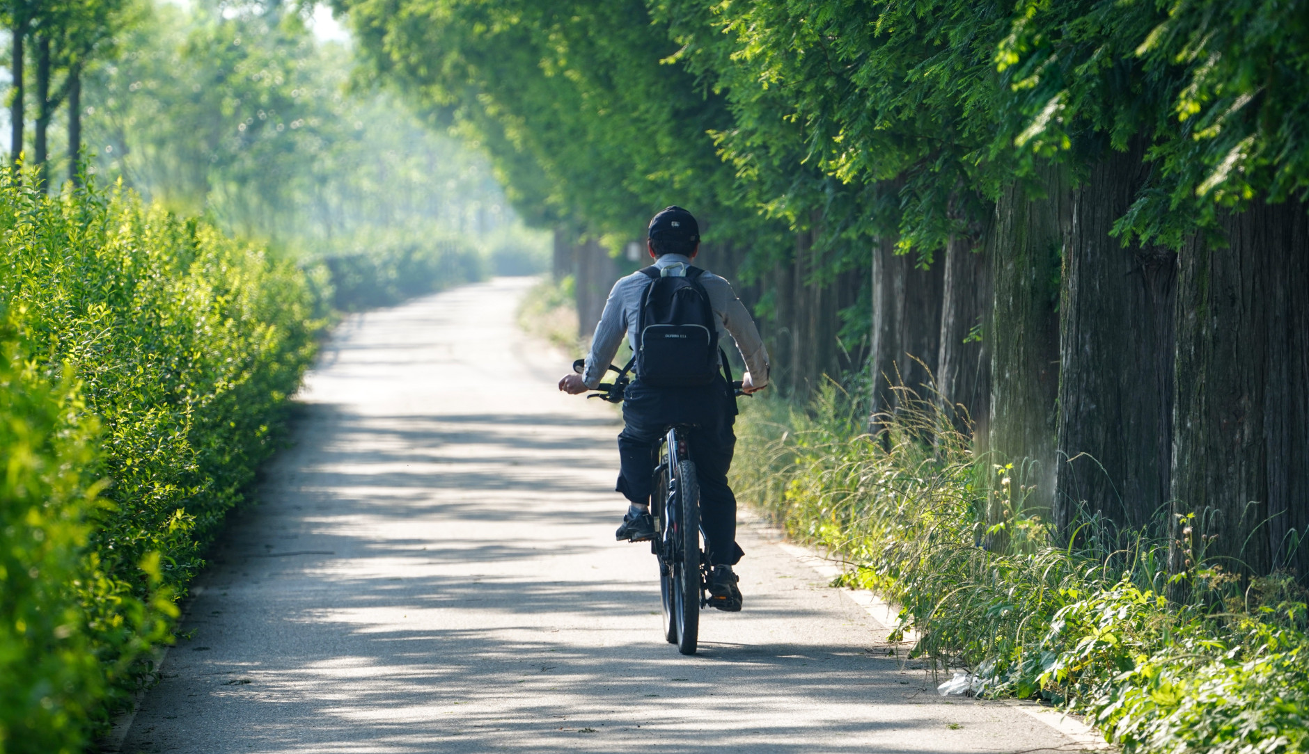 Fahrradfahrer auf einem Fahrradweg