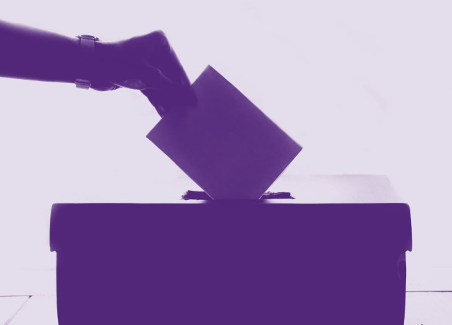 Wahlurne mit Hand darüber, die einen Wahlzettel einwirft. Alles ist lila.