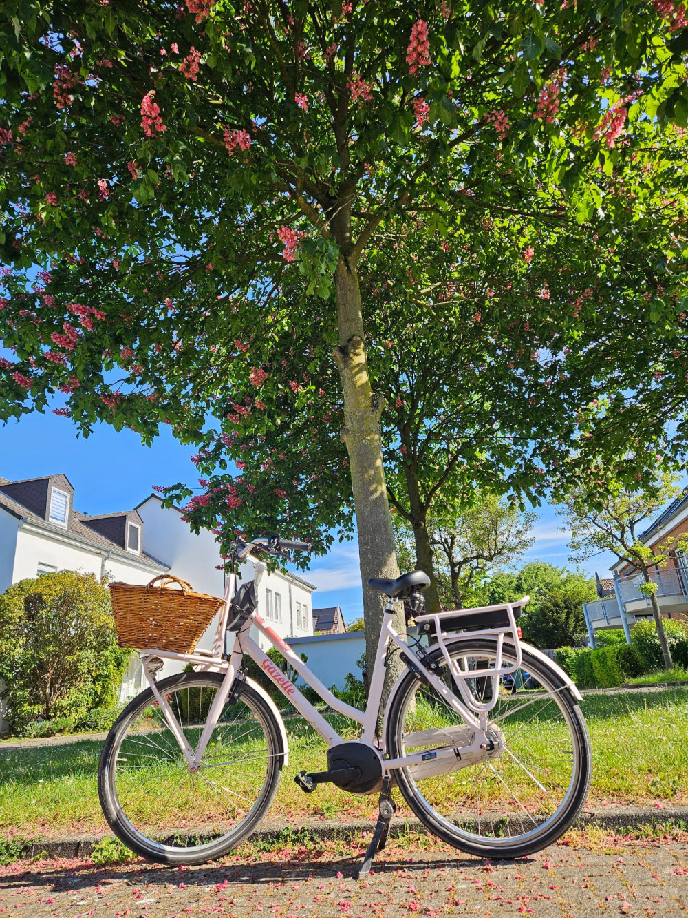 Fahrrad