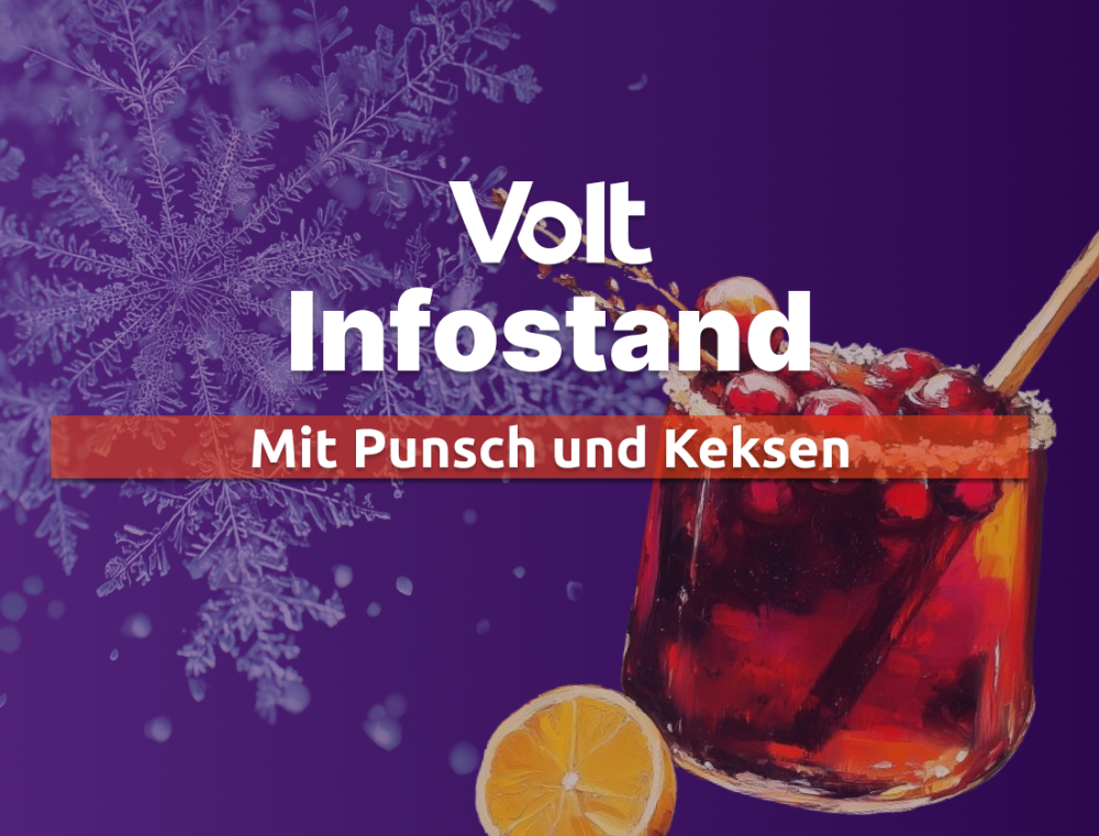 Infostand Punsch Volt Marburg