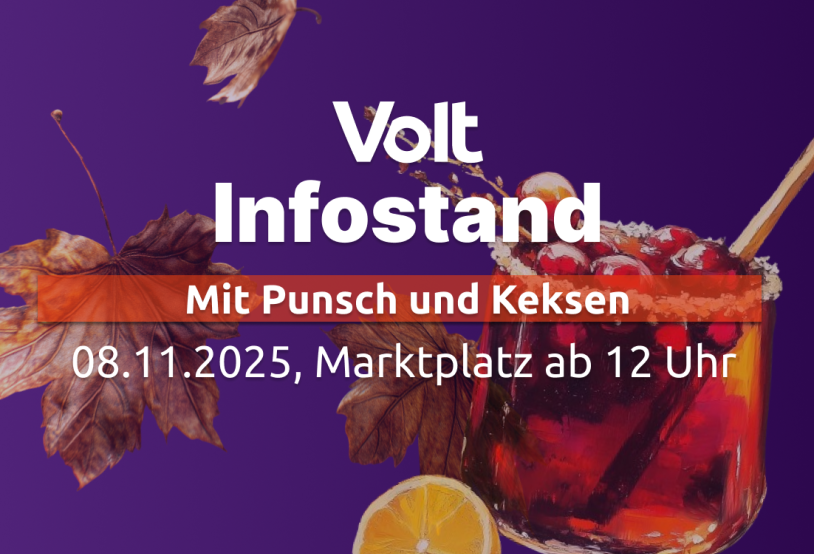 Infostand Marburg Volt
