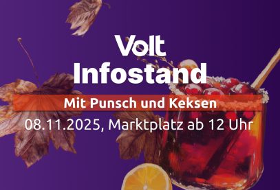 Infostand Marburg Volt