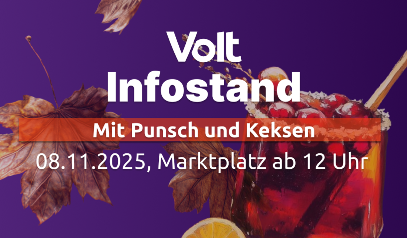 Infostand Marburg Volt