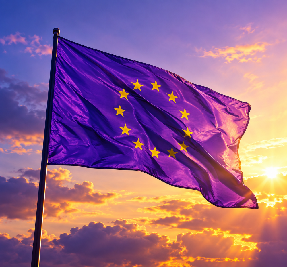 Europaflagge Volt Marburg