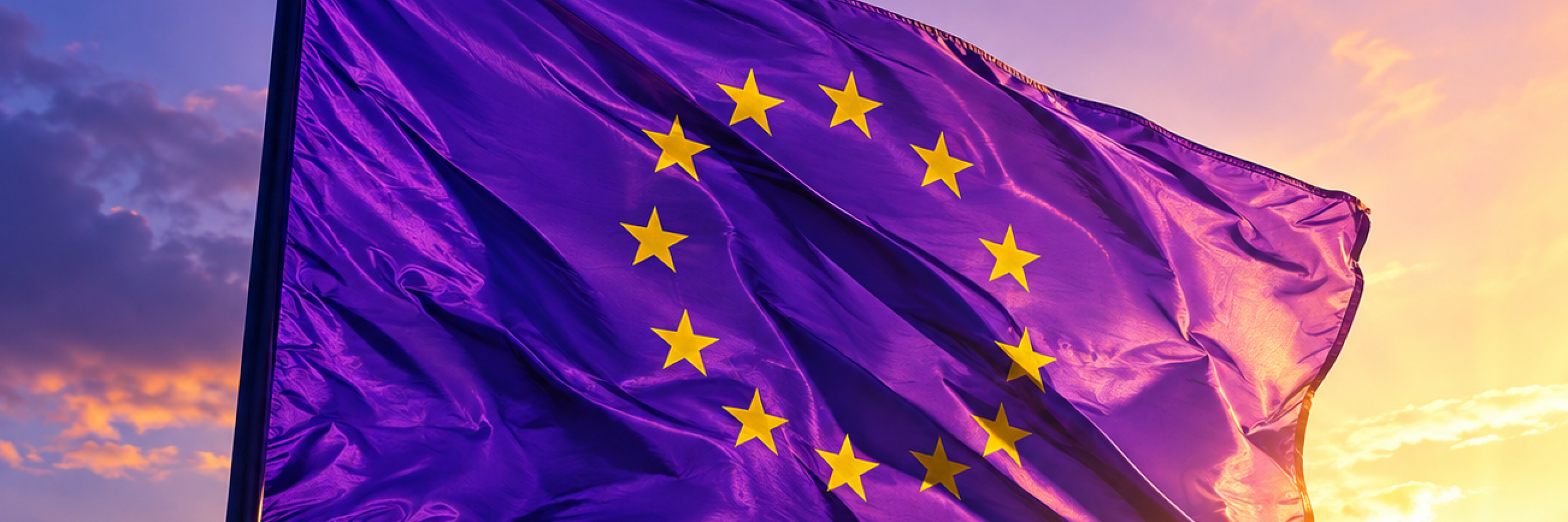 Europaflagge Volt Marburg