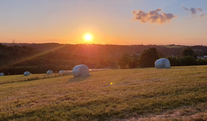 Sonnenuntergang über Velbert-Langenberg