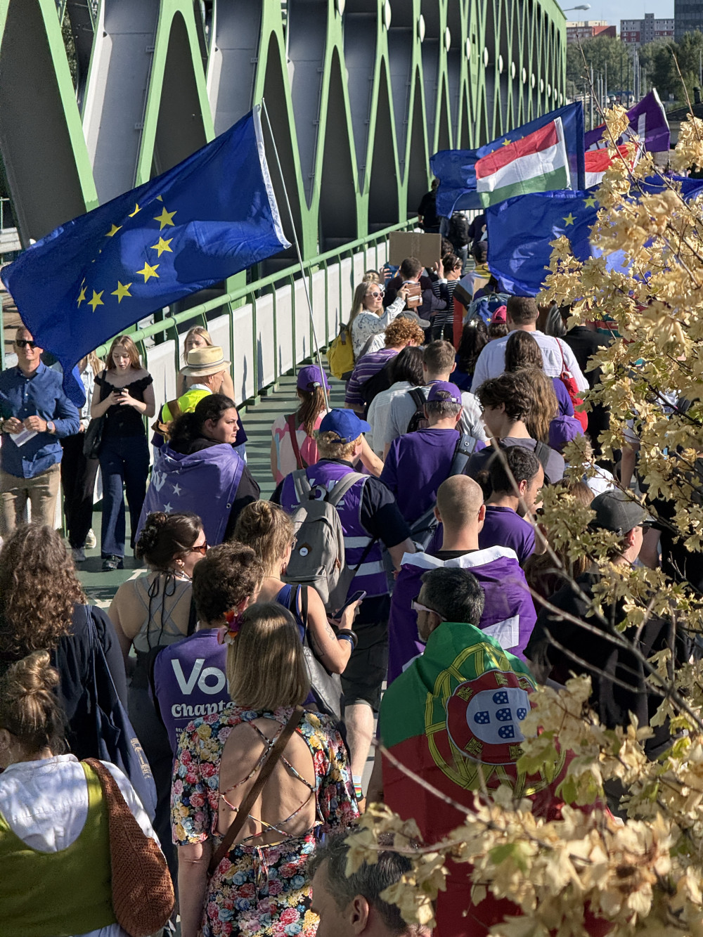 Volt Members from all over europe, with flags on the streets