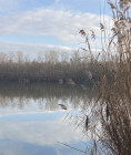 Kandidierende Rhein-Erft