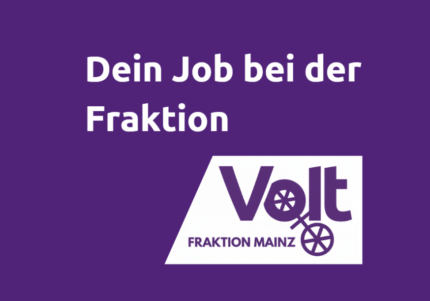 Ausschreibung Dein Job bei der Fraktion