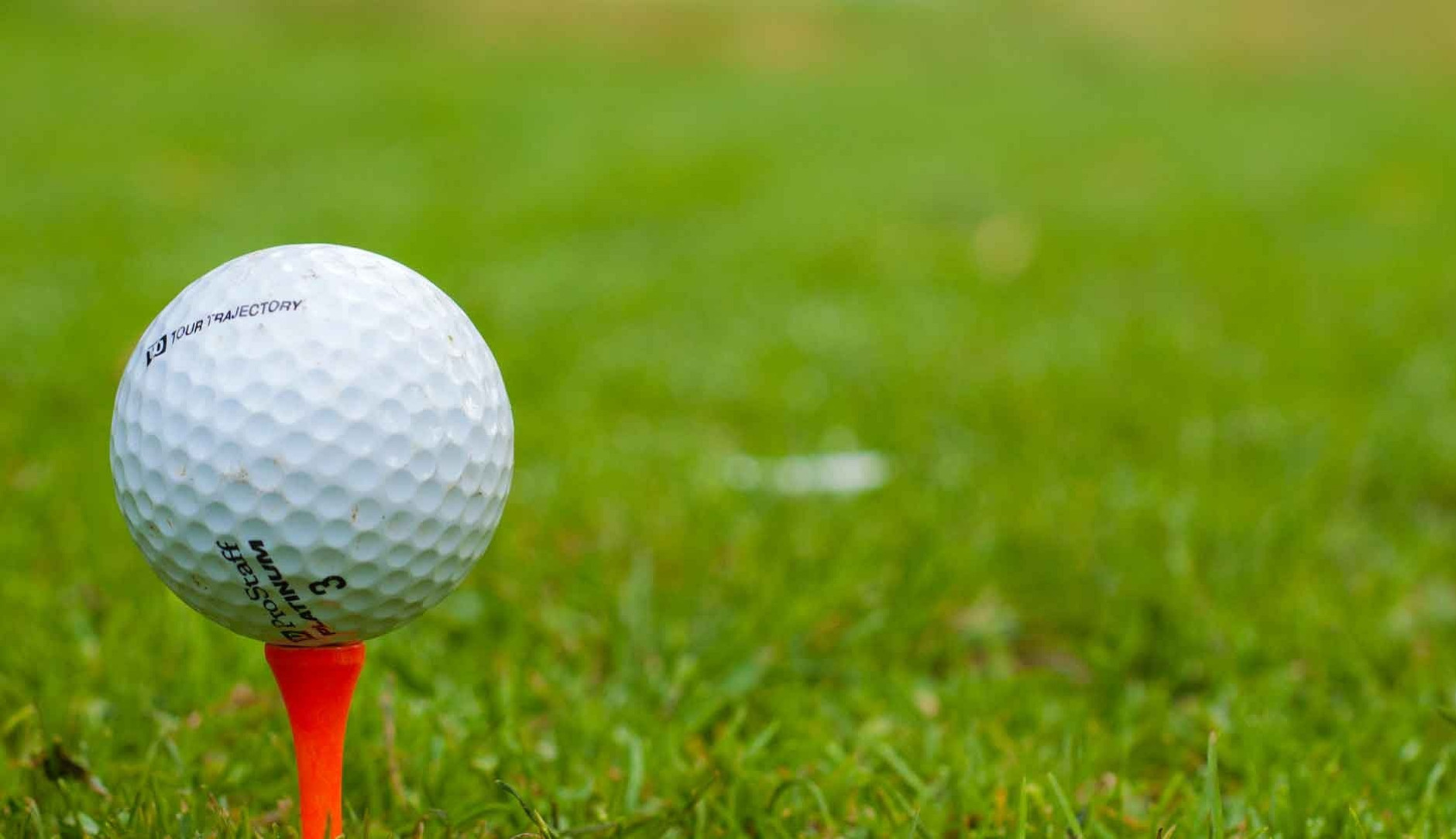 Ein Golfball liegt auf einem Tee.