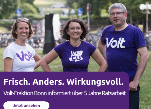 Die Bilanz-Broschüre der Volt-Fraktion