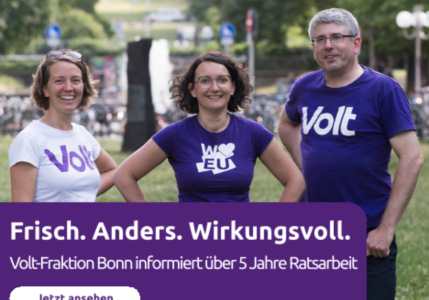 Die Bilanz-Broschüre der Volt-Fraktion