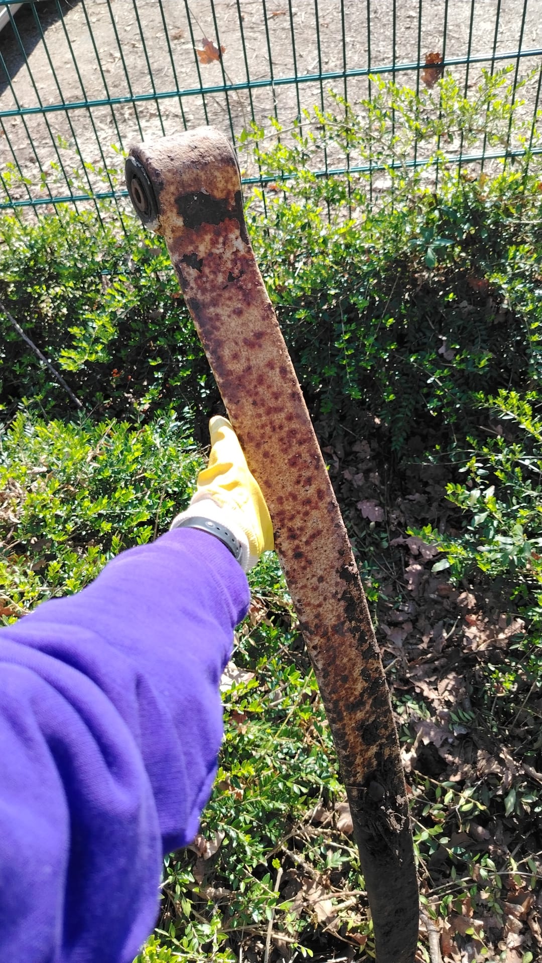 Ein schwerer Schatz!